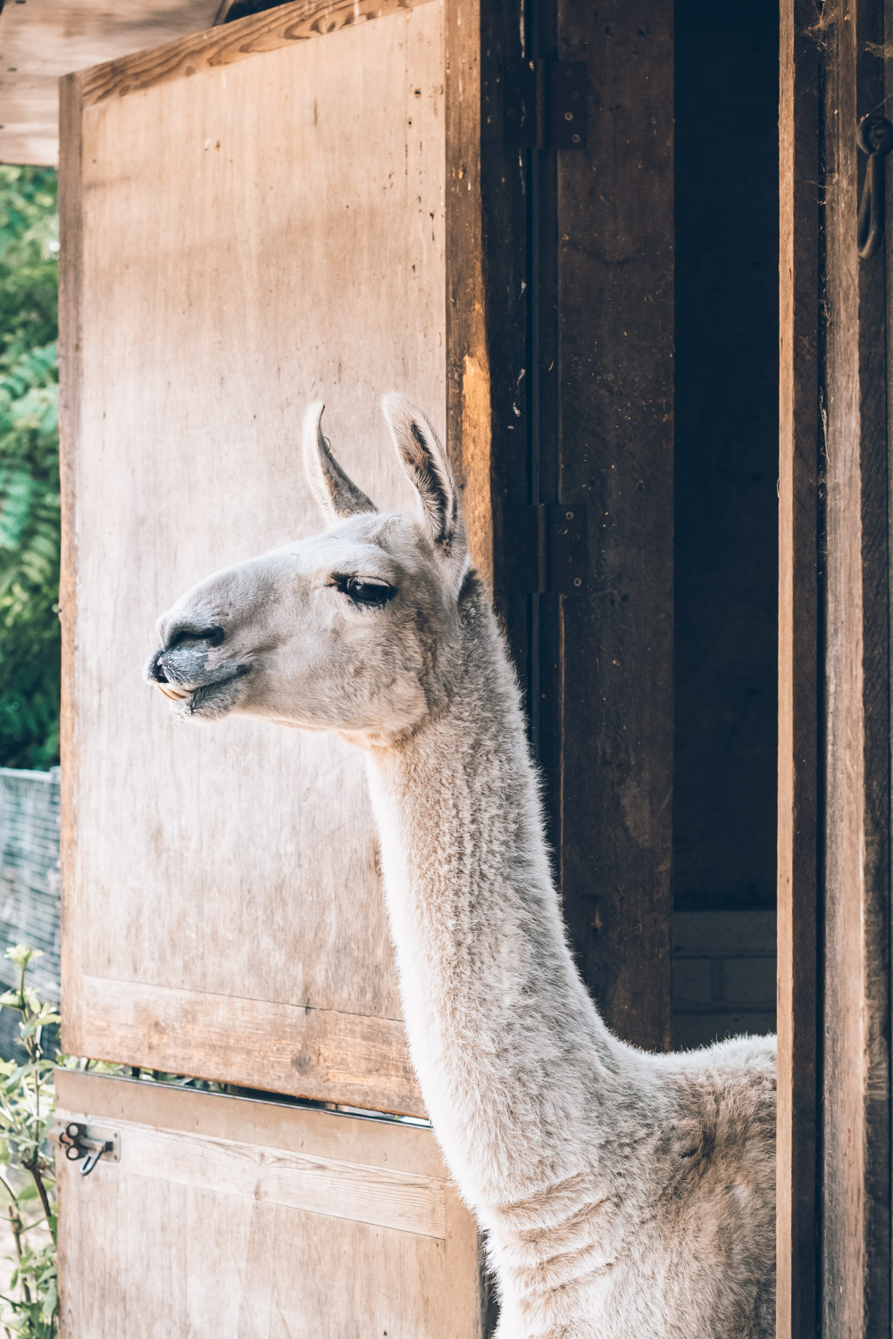 Alternative London: Unusual Things to See and to Do