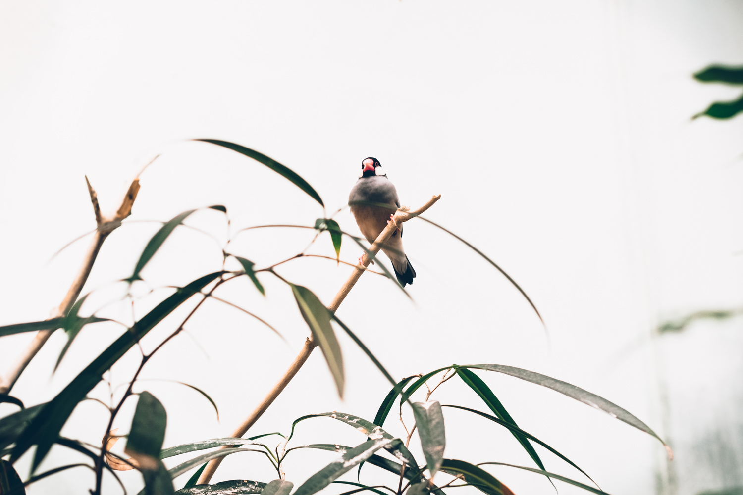 Alternative London: Unusual Things to See and to Do