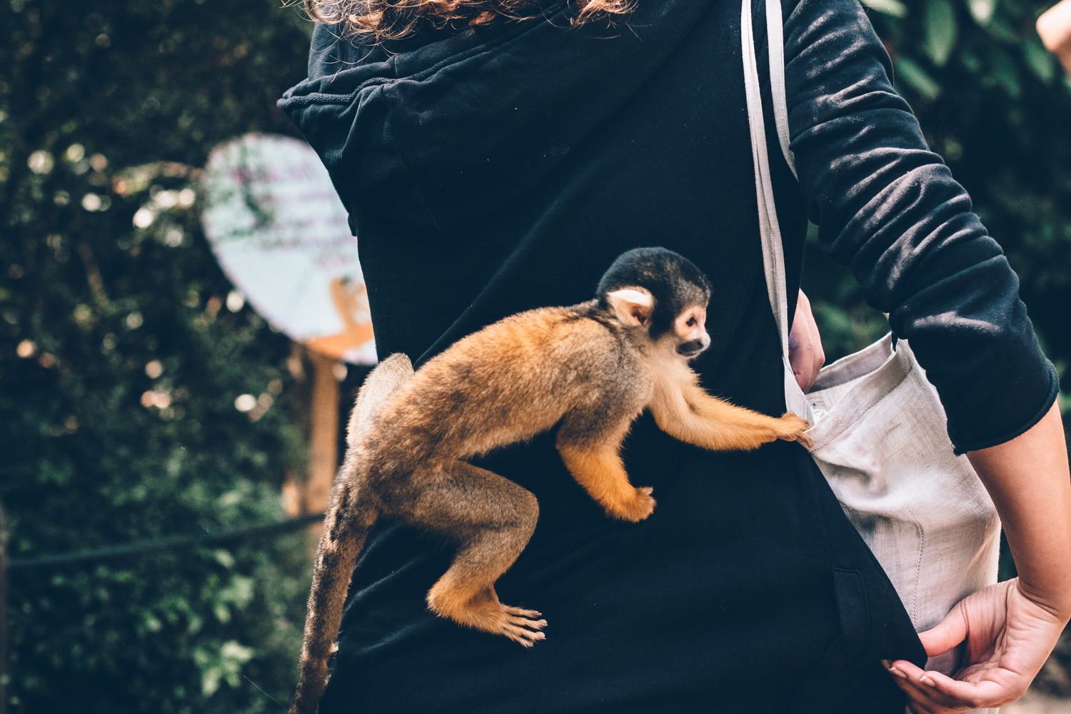 Alternative London: Unusual Things to See and Do