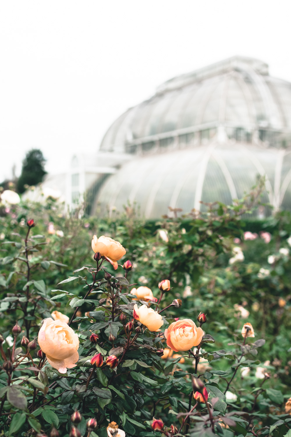 Alternative London: Unusual Things to See and to Do