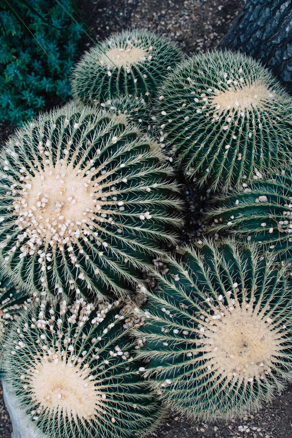 Alternative London: Unusual Things to See and to Do