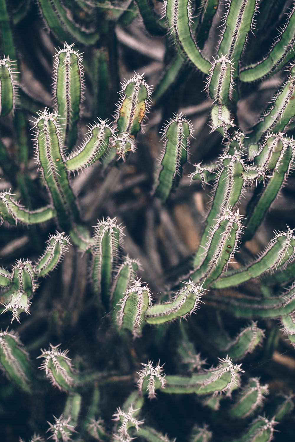 Alternative London: Unusual Things to See and to Do