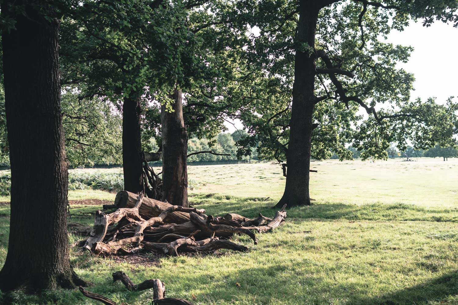 Alternative London: Unusual Things to See and to Do