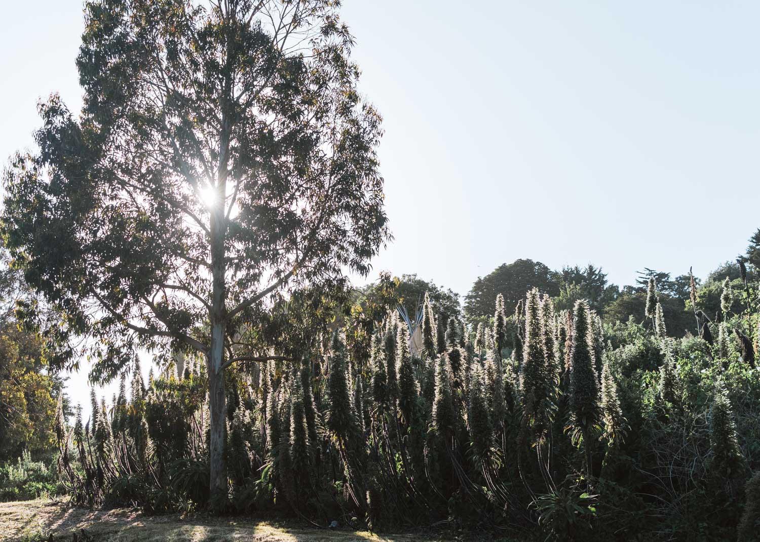 Isle of Wight by Bicycle: 3 Days in Paradise