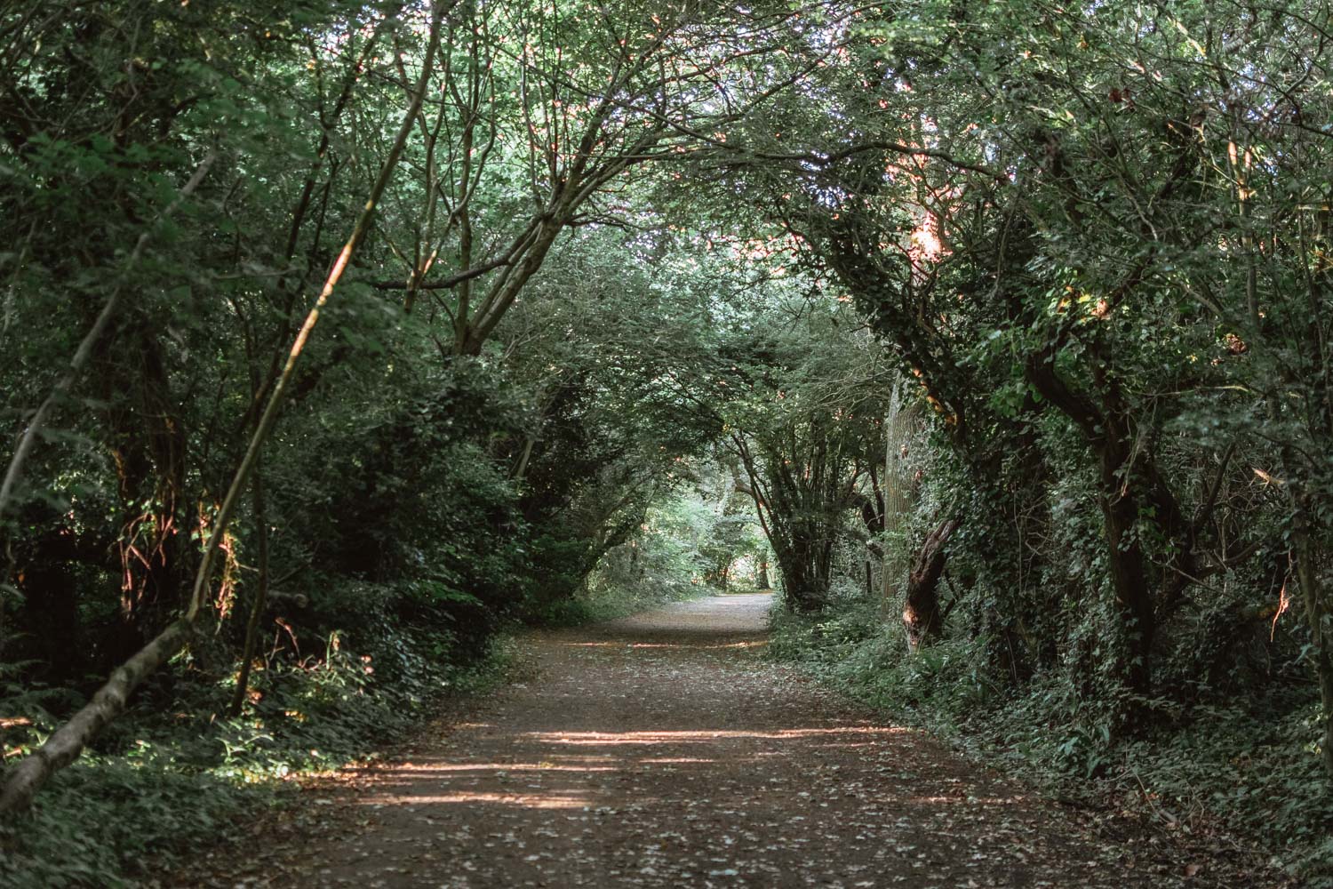 Isle of Wight by Bicycle: 3 Days in Paradise