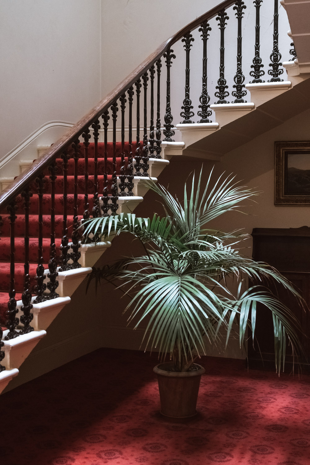 Isle of Wight by Bicycle: 3 Days in Paradise