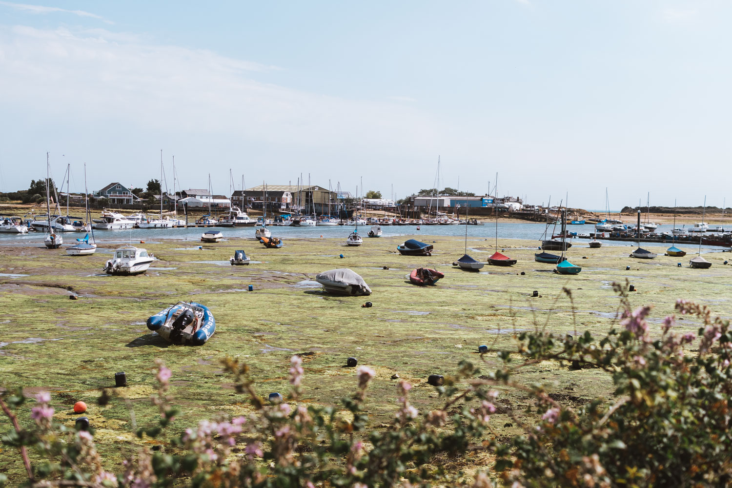 Isle of Wight by Bicycle: 3 Days in Paradise