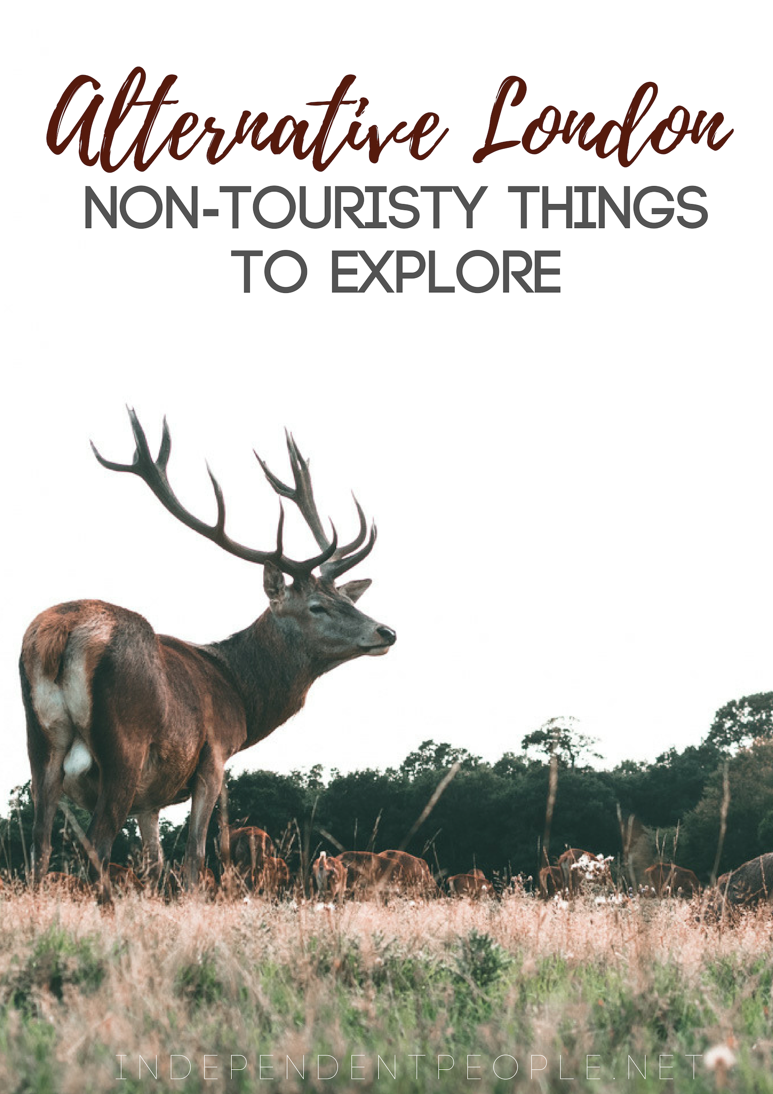 Alternative London: Non-Touristy Places to Explore