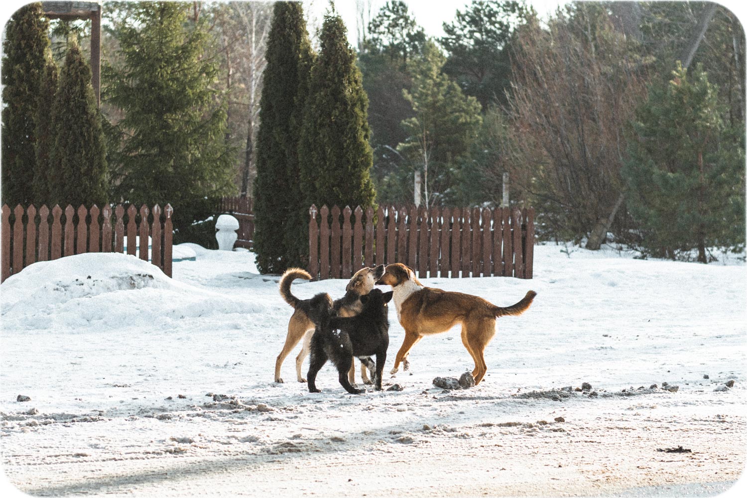 Visiting Chernobyl Exclusion Zone and Abandoned Town Pripyat