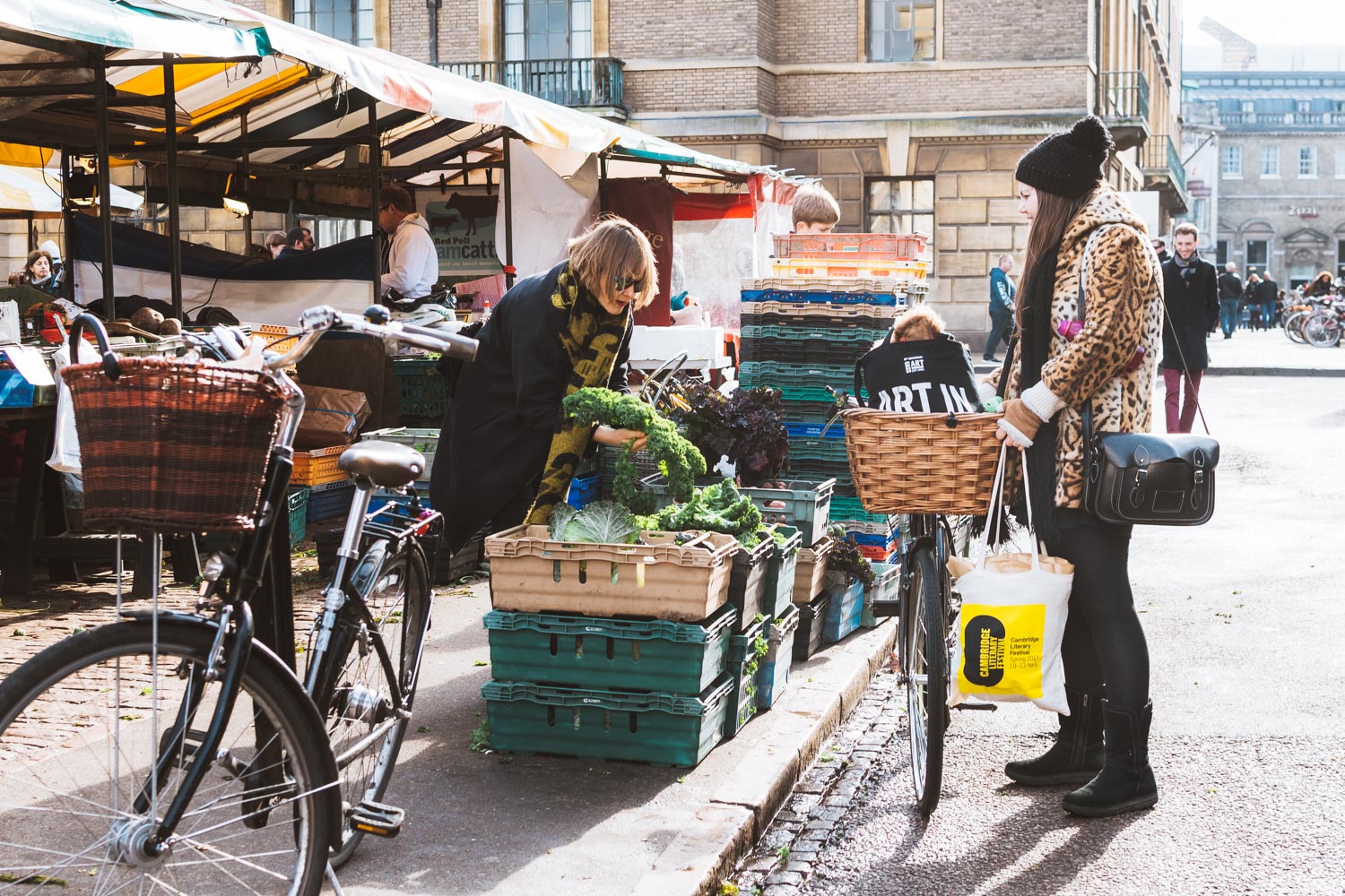 One Day Trip in Cambridge