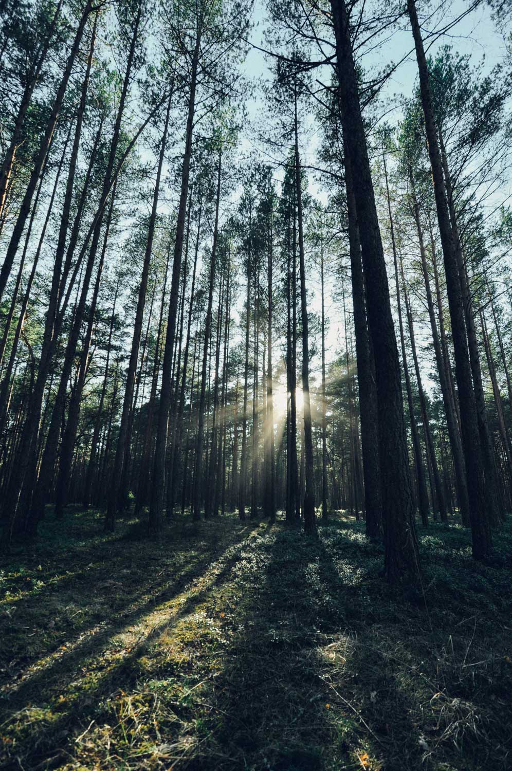 Narva: A Walk in the Town of Our First Expatriation