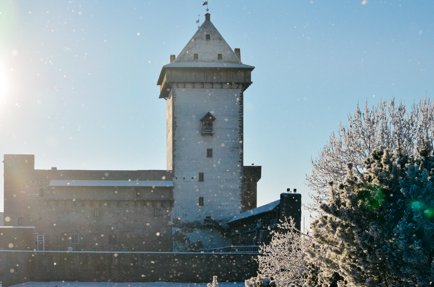 Narva: A Walk in the Town of Our First Expatriation