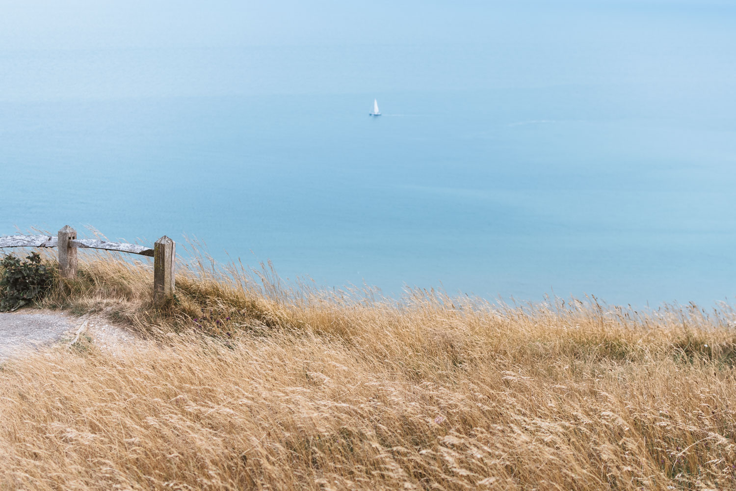 A Day on the Seven Sisters Cliffs
