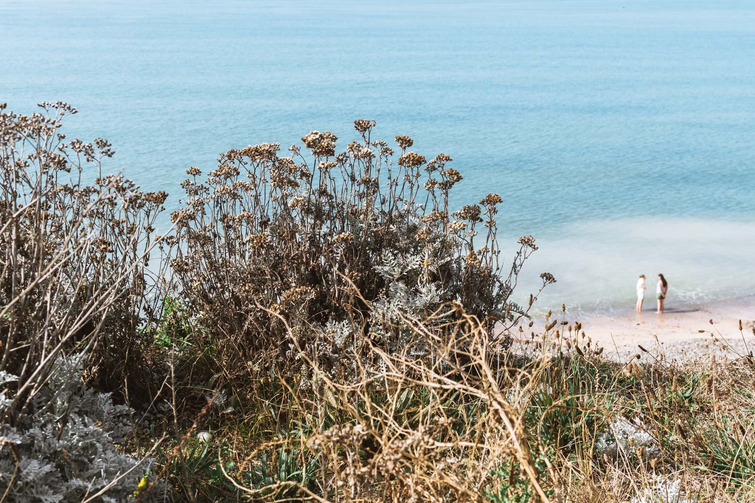 A Day on the Seven Sisters Cliffs