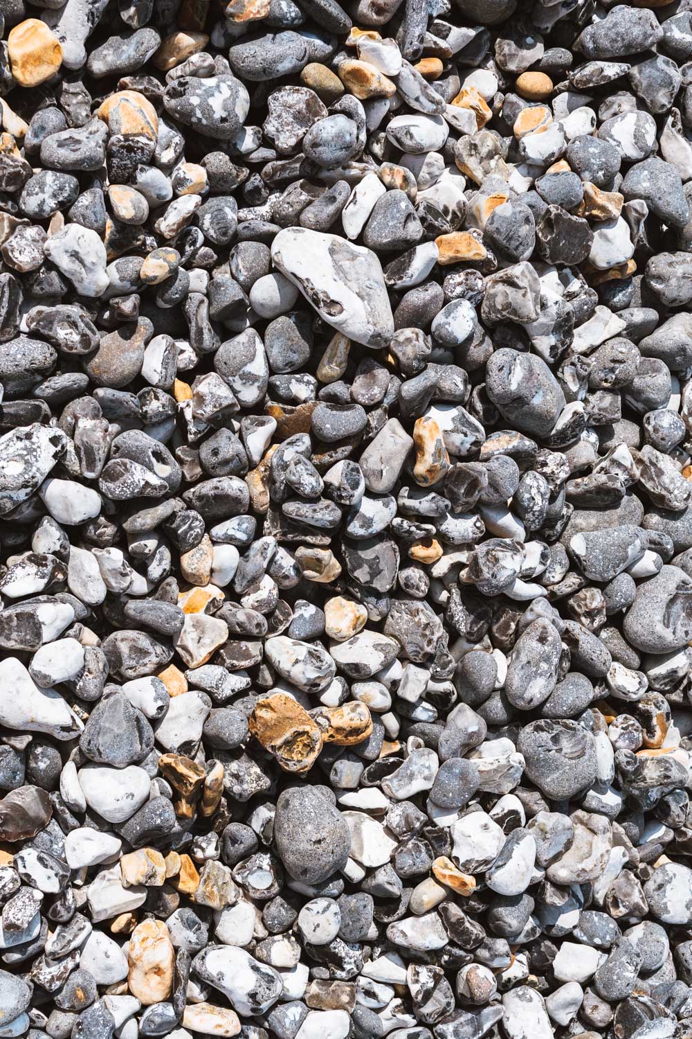 A Day on the Seven Sisters Cliffs