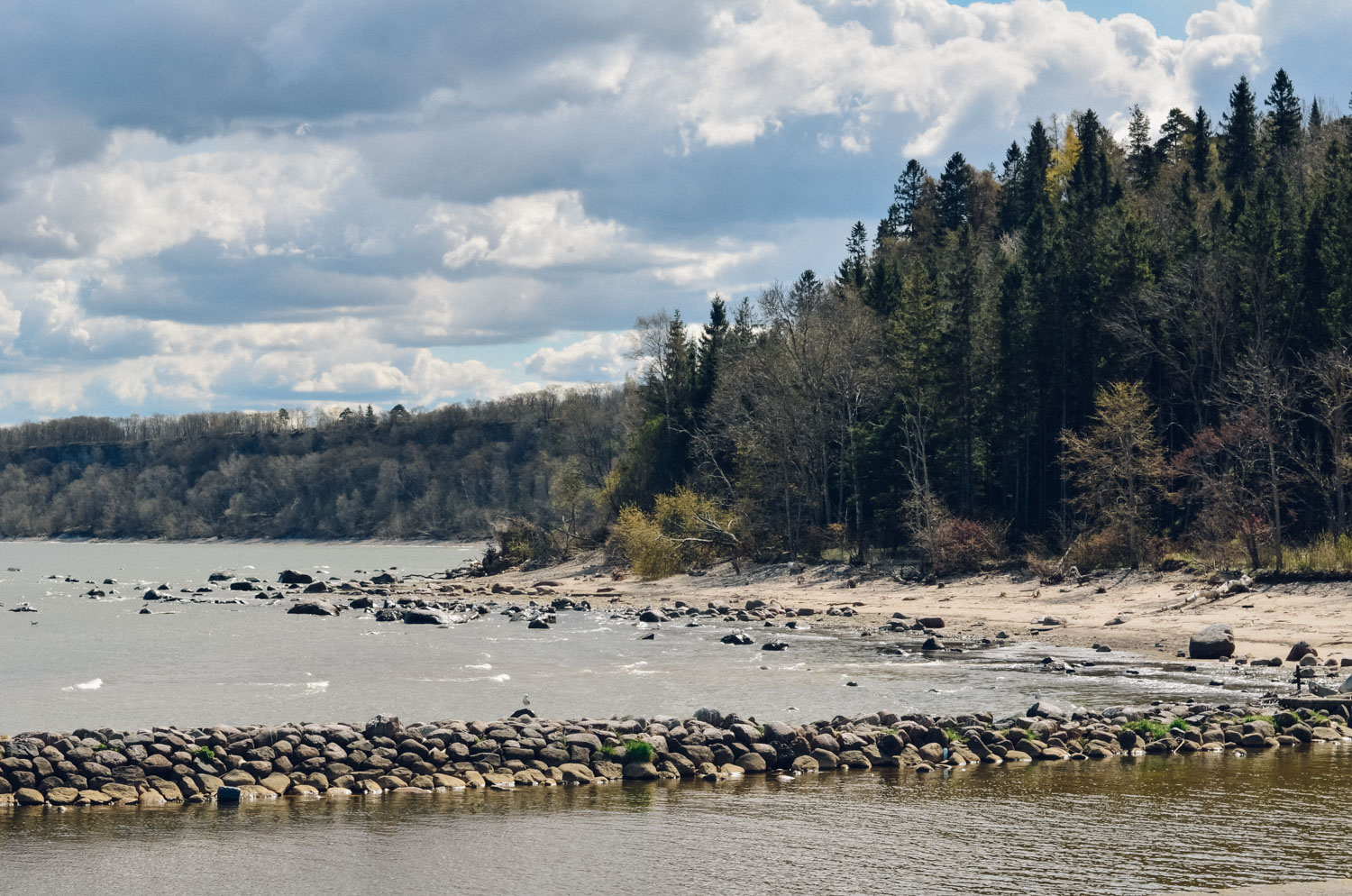 Top things to see and to do in Estonia