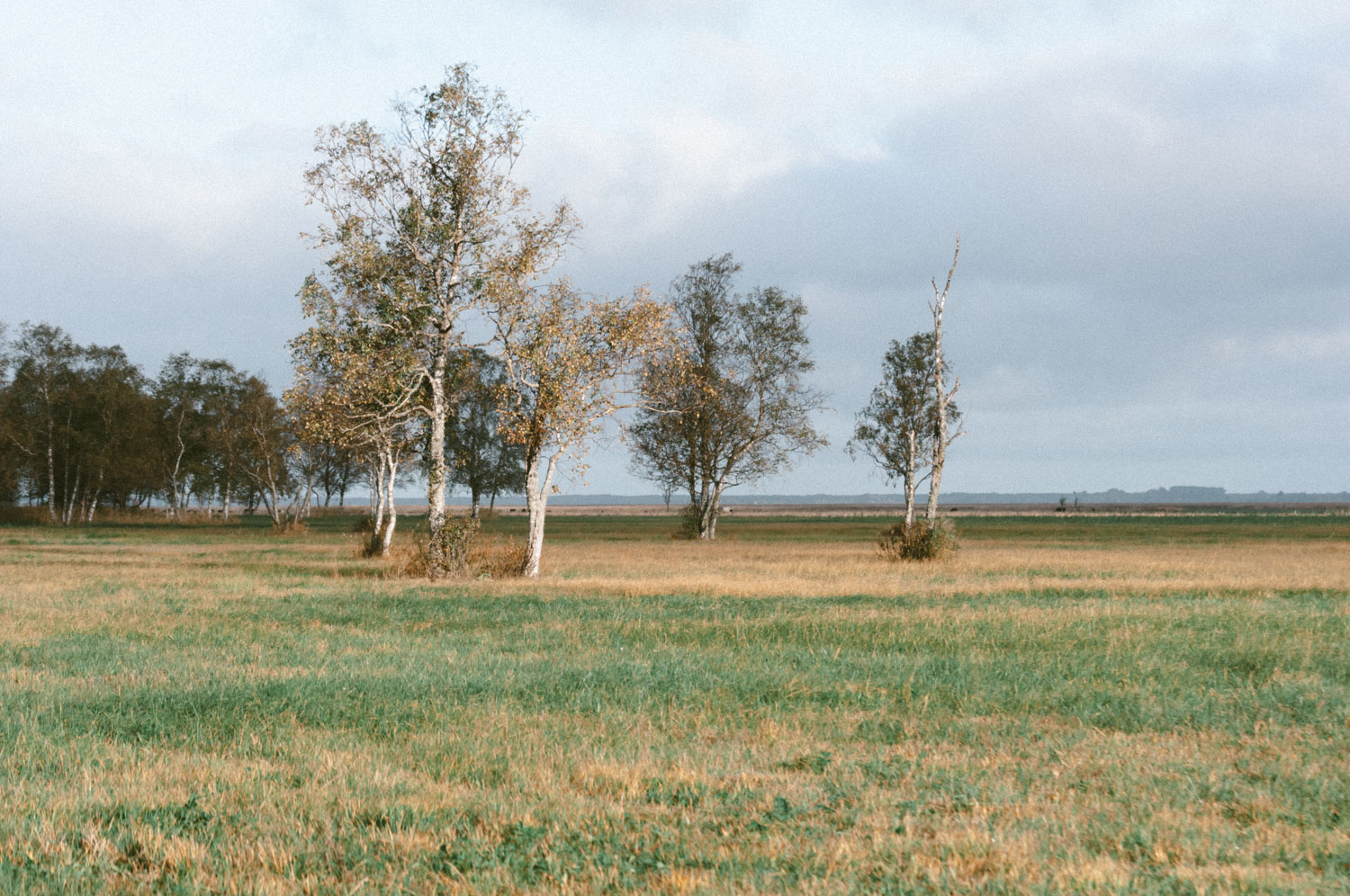 Top things to see and to do in Estonia