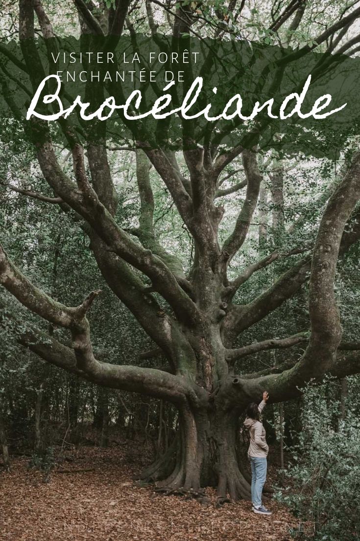 Visiter Brocéliande – la forêt magique au cœur des légendes arthuriennes