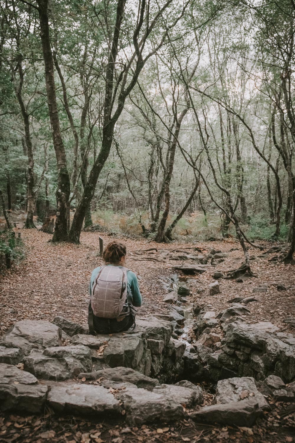 Fontaine de Barenton