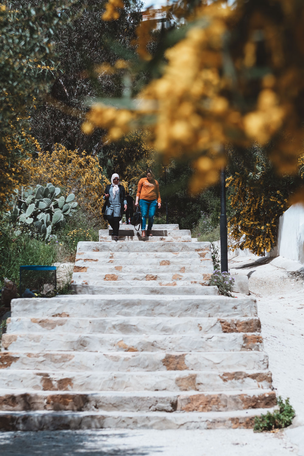Visiting Sidi Bou Said