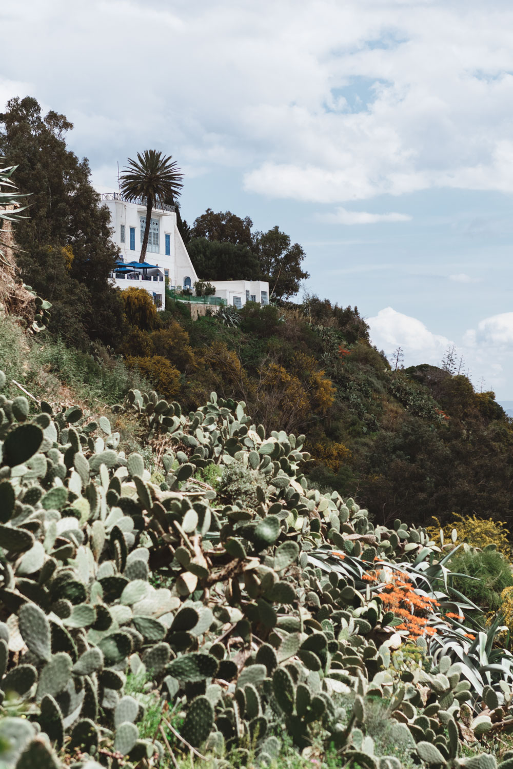 Visiting Sidi Bou Said