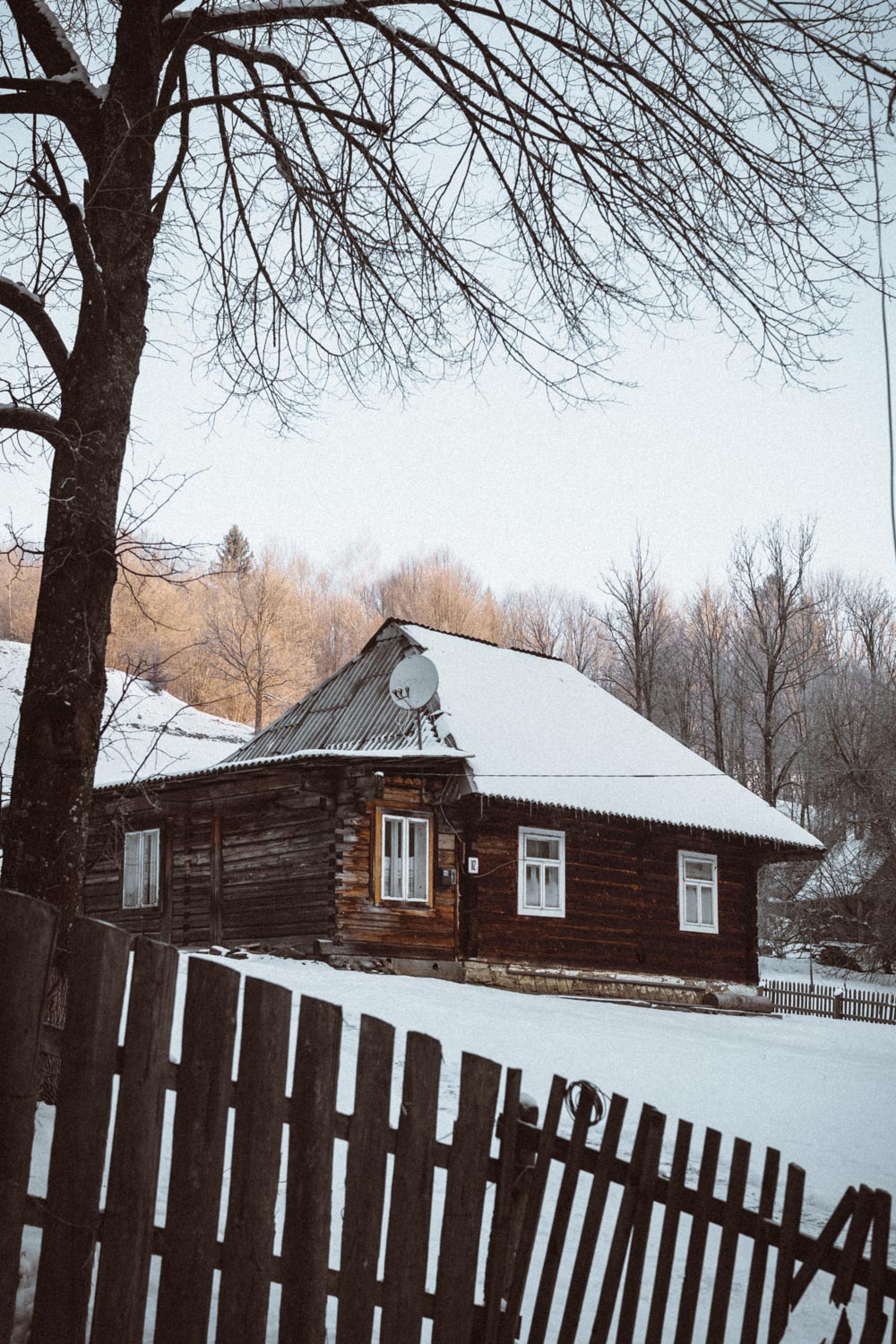 Snowy winter in the Carpethian mountains in Ukraine