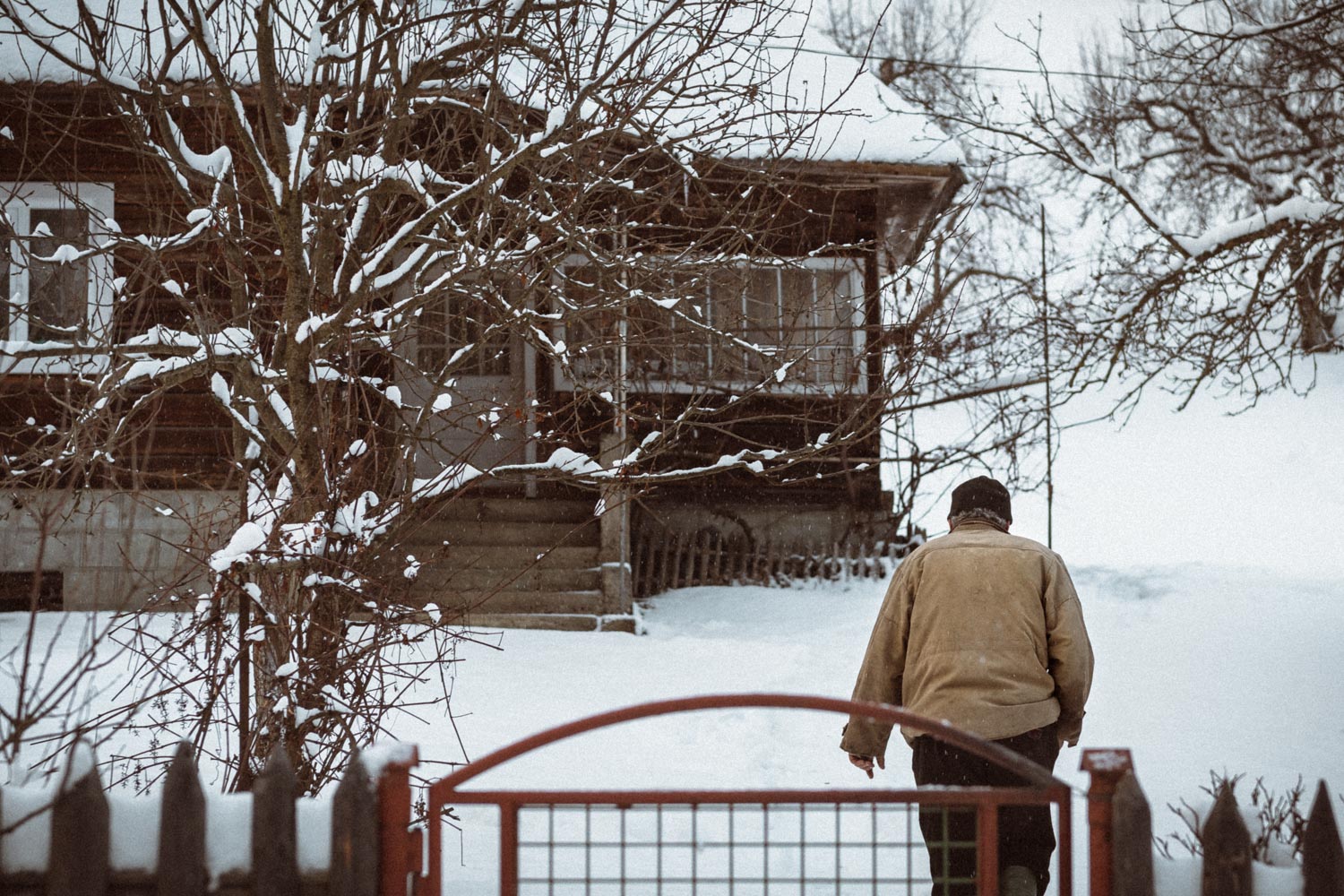 Snowy winter in the Carpethian mountains in Ukraine