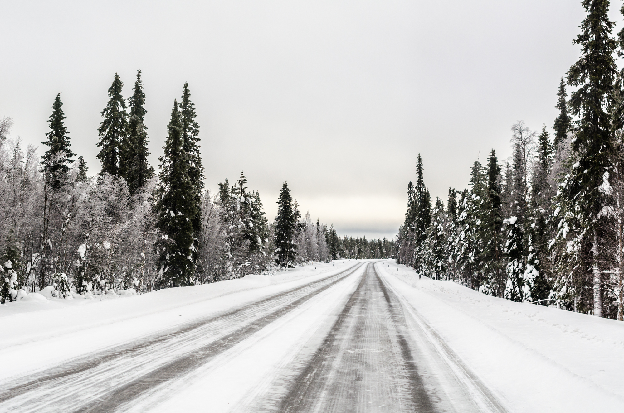 All About the Winter Road Trip in Finland & Norway