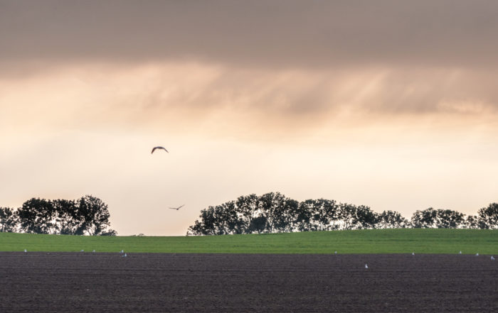 InterRail Train Itinerary: Denmark.