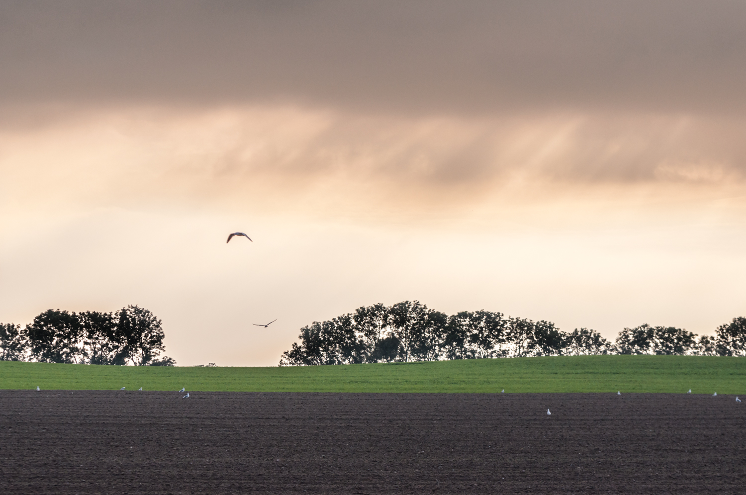 InterRail Train Itinerary: Denmark.