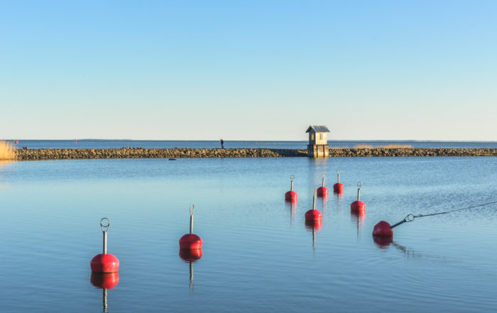 Cycling in Estonian islands, Saaremaa