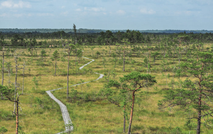 Soomaa national park, Estonia
