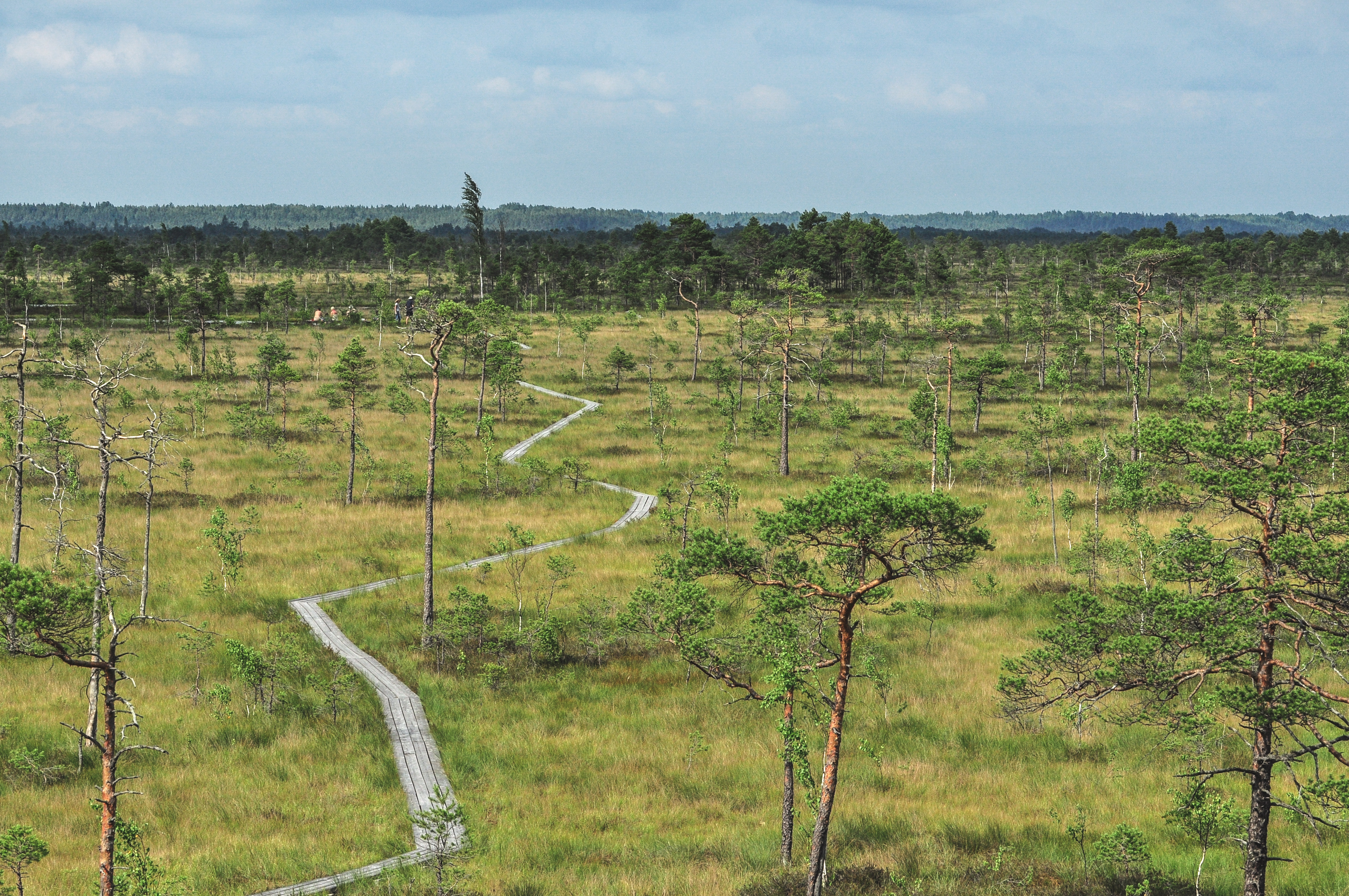 Soomaa national park, Estonia