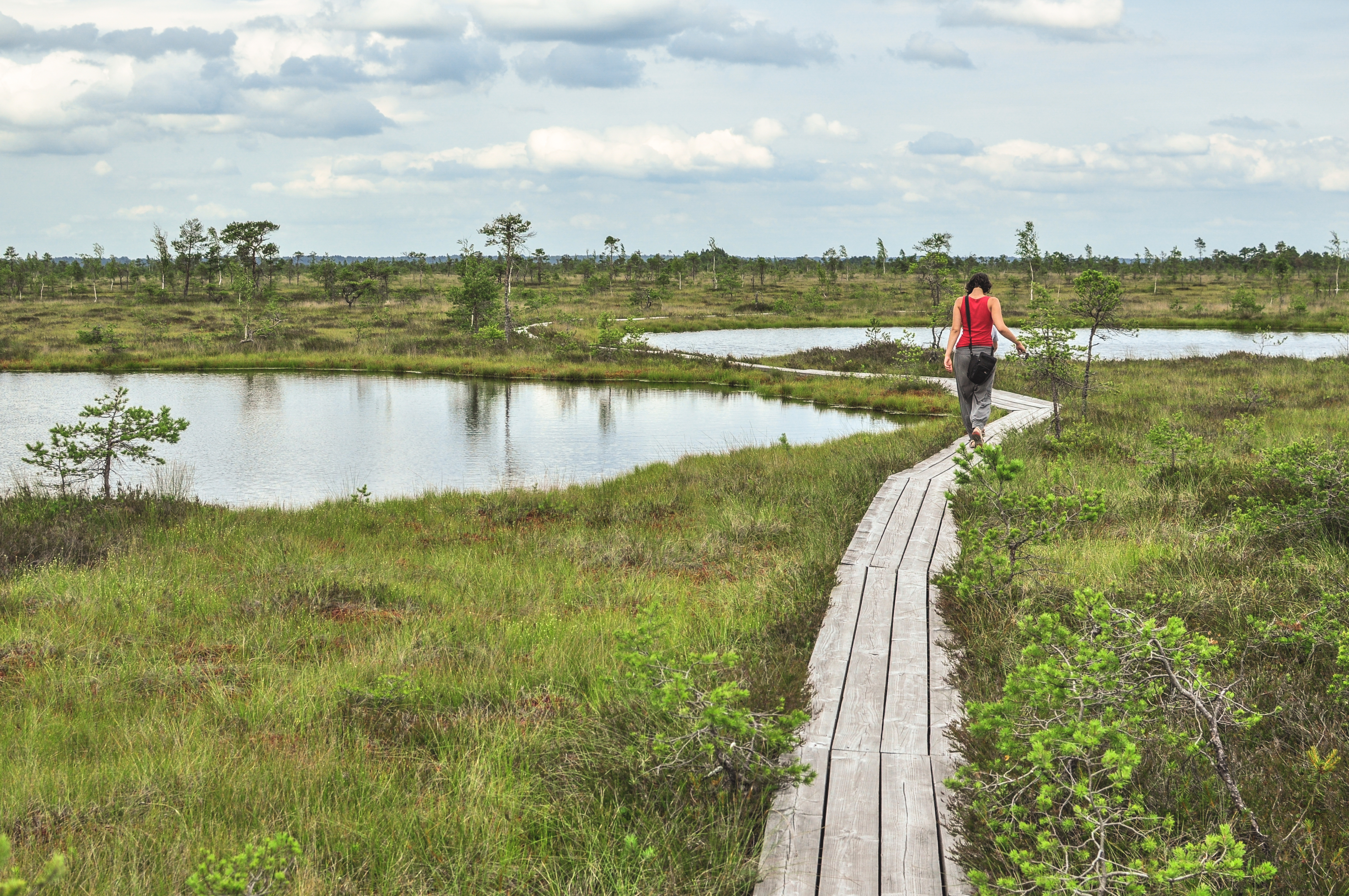 Soomaa national park, Estonia