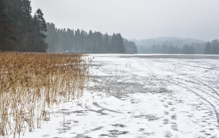 Winter scenery of Estonia