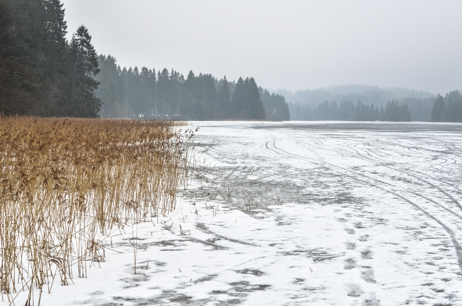Winter scenery of Estonia