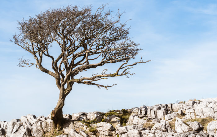 Yorkshire Dales, England