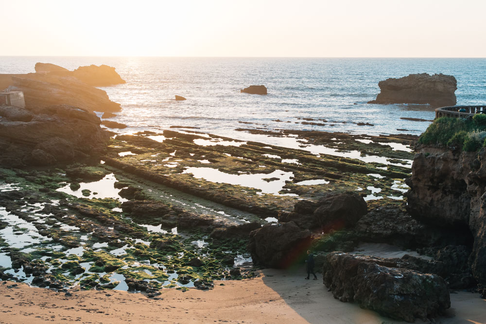 aquitaine biarritz beach summer low tide