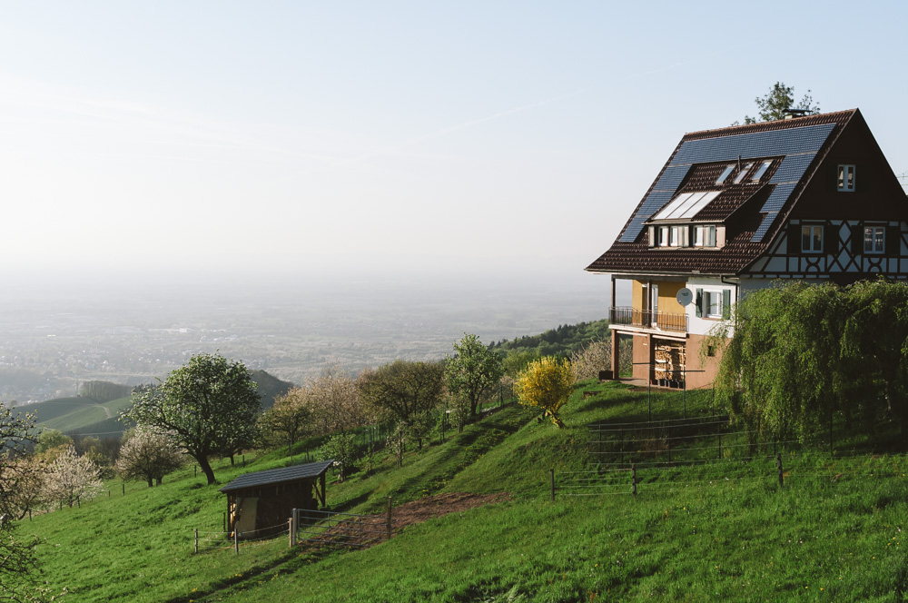 Black Forest, Schwarzwald, Forêt Noire
