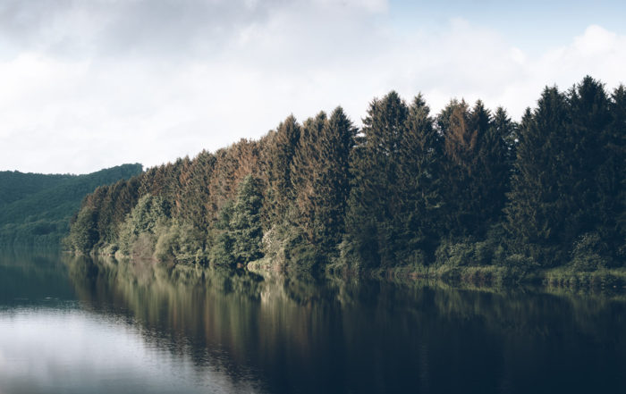 Trans-Ardennes, France, Ardennes