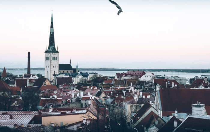 What to do in Tallinn in winter?