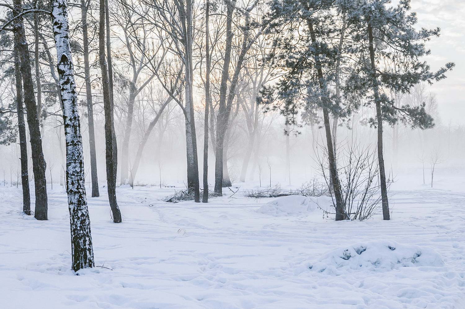 7 reasons to visit Ukraine