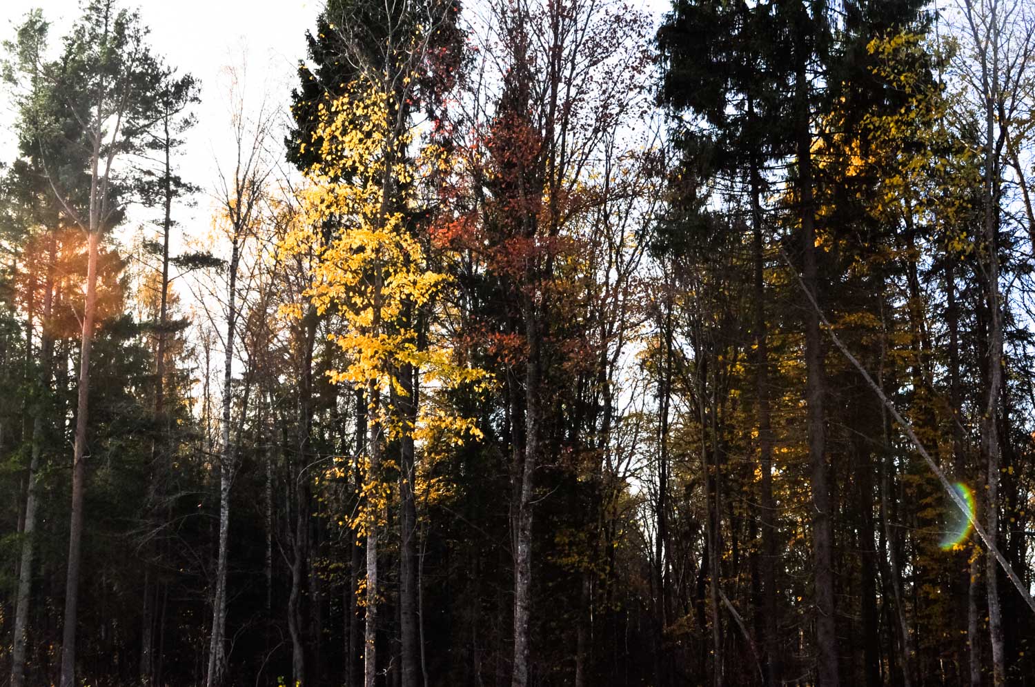 Top things to see and to do in Estonia