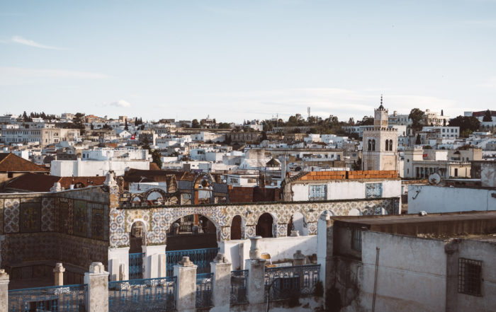 Panorama de Tunis